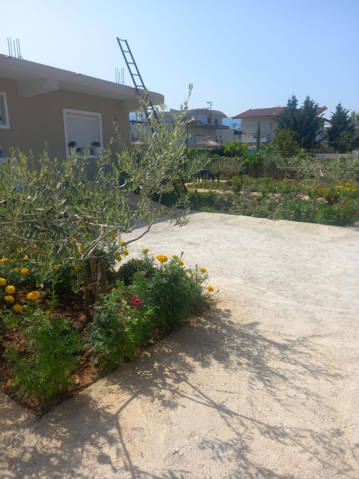 Rey Garden 2 Ξενοδοχείο Vlorë Εξωτερικό φωτογραφία