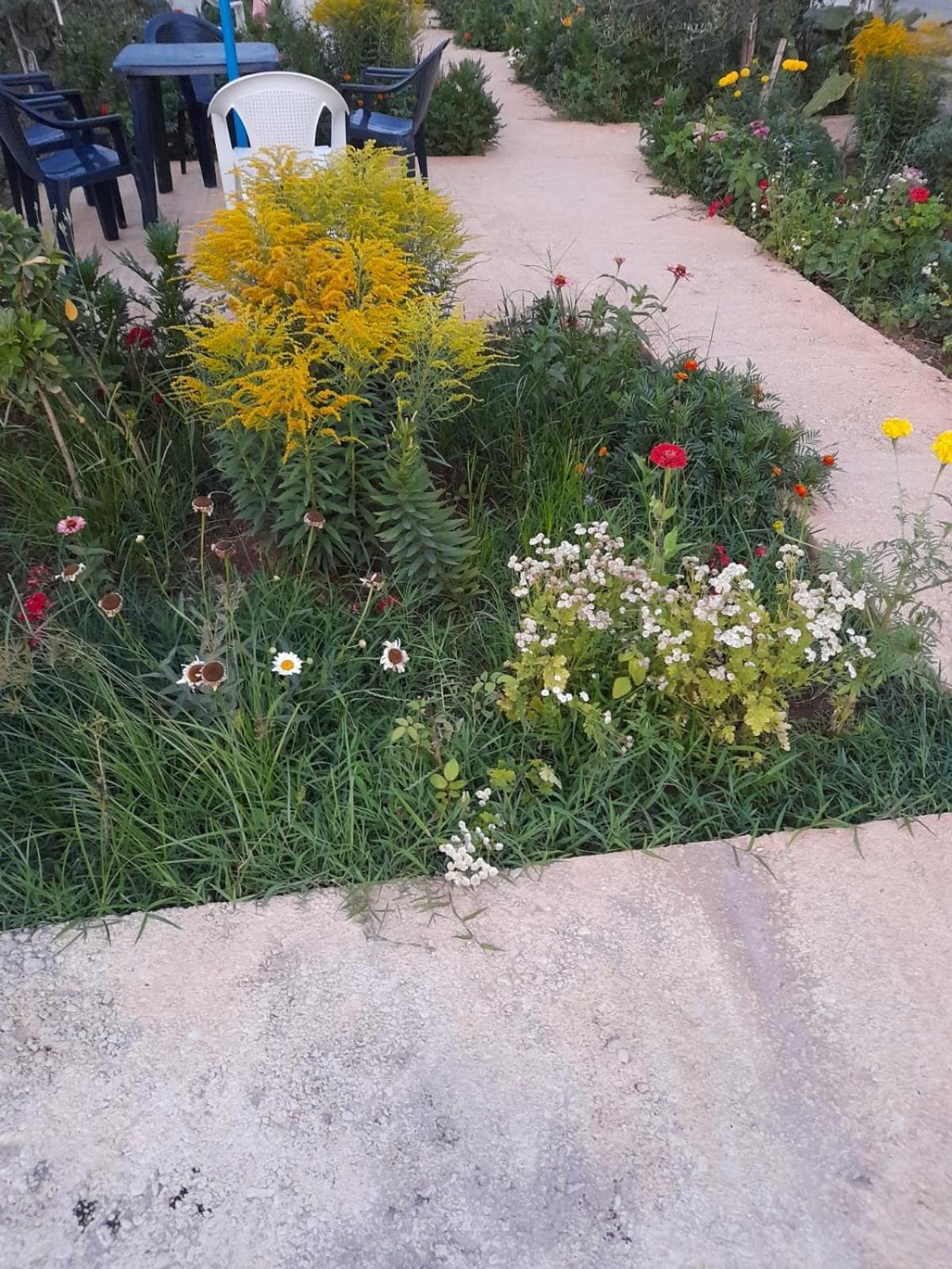 Rey Garden 2 Ξενοδοχείο Vlorë Εξωτερικό φωτογραφία